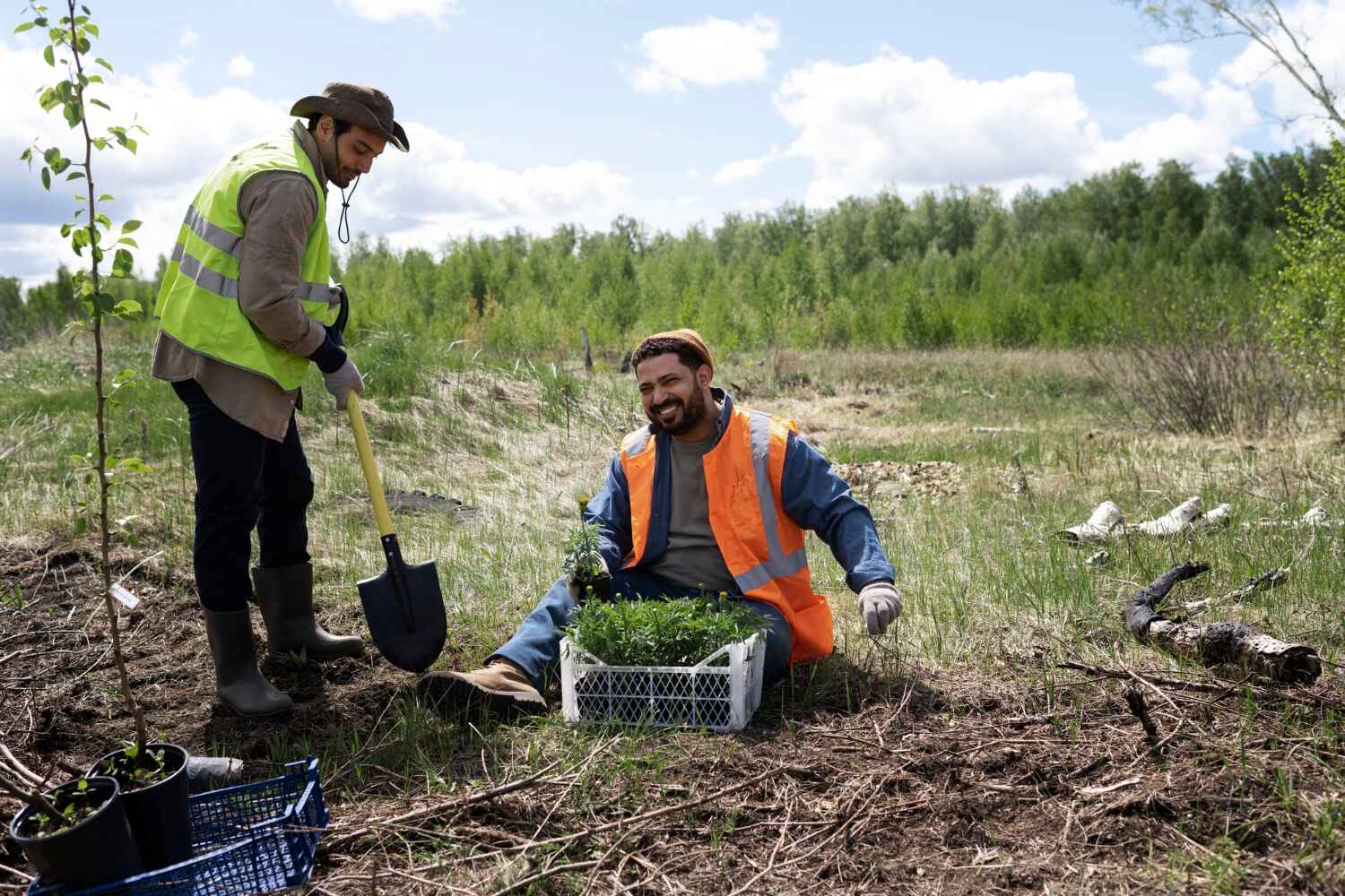 Best Arborist Services Near Me  in USA